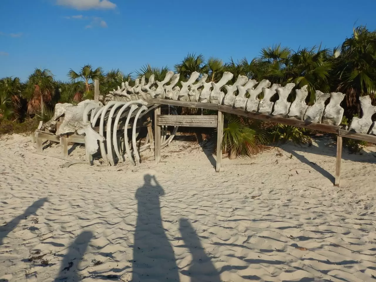 Dingi-Fun im Shroud Cay-Creek